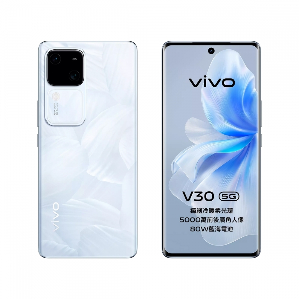 vivo V30 12/256G