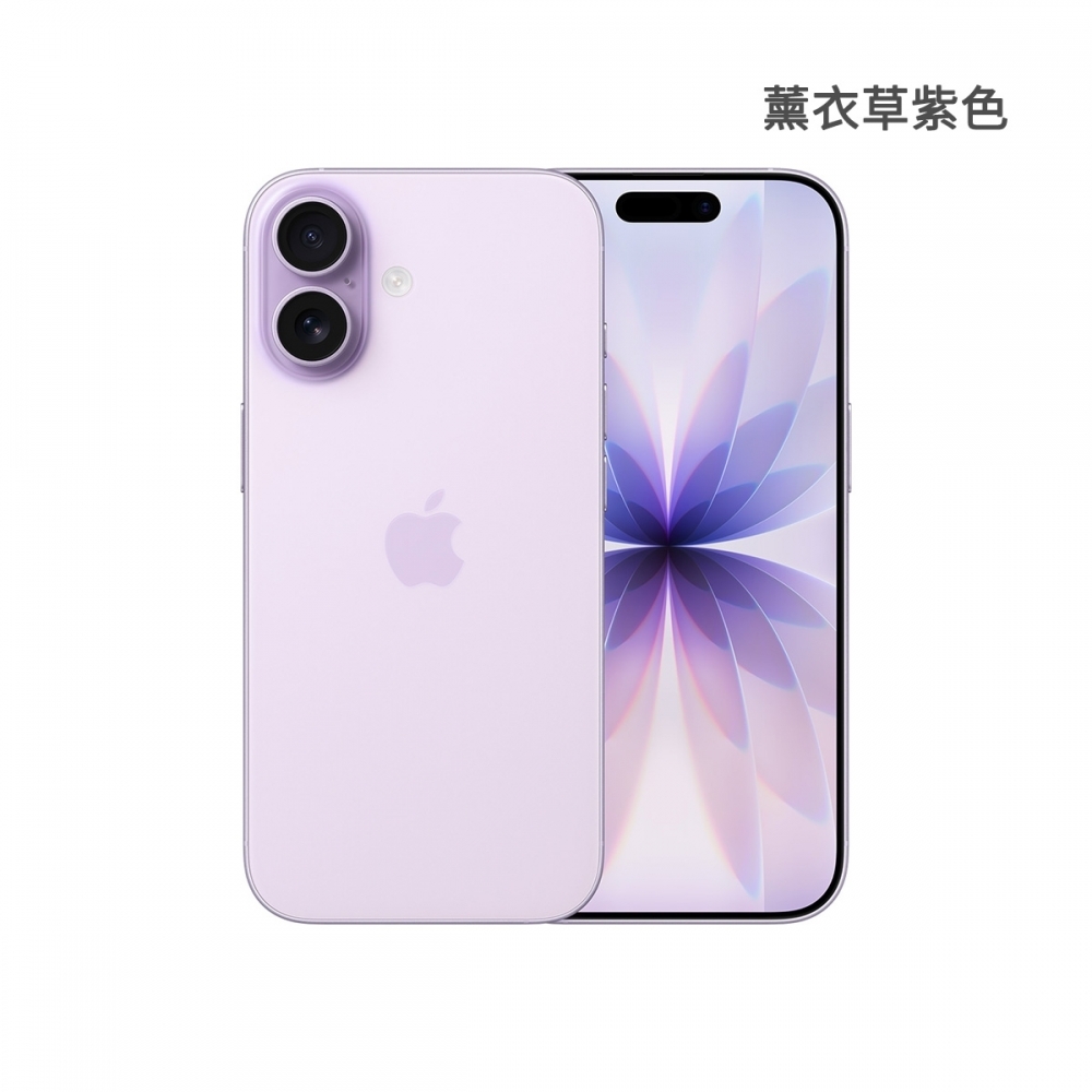 iPhone17 256G 