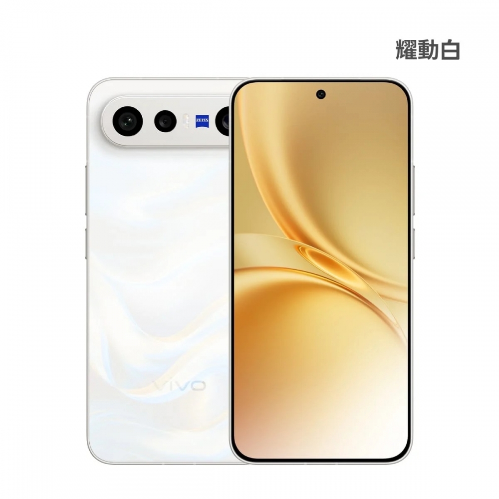 VIVO X300 FE 12G/256G