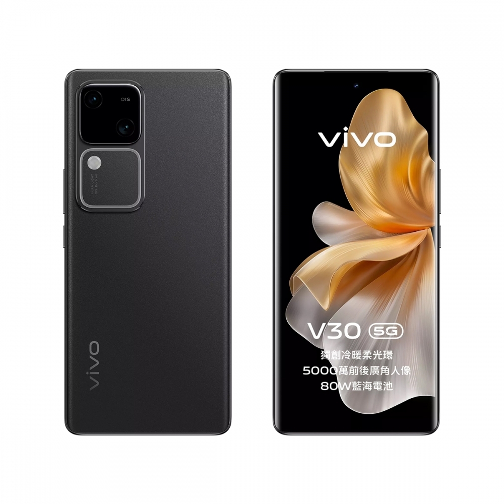 vivo V30 12/256G